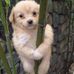 Beryl Gates - Facebook
