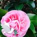 Beryl Goodwin - Facebook
