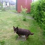 Beryl Gray - @berylgray999 - Instagram