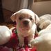 Beryl Green - Facebook