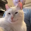 BerlynGross - @berlyngross - TikTok