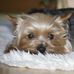 Beryl Hanson - Facebook
