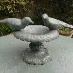 beryl harper - @bezzer_gardener - Instagram