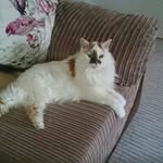 Beryl Hudson - @berylhudson - Instagram