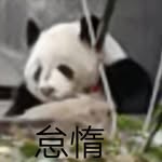 Beryl Lee - @beryl_lee11 - Instagram