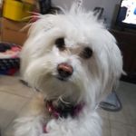 Beryl Levy - @beryllevy613 - Instagram