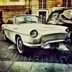 Beryl Lowe - @birdrelaxzollo - Instagram