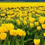 Beryl Lowe - @beryl.lowe23 - Instagram