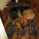 Beryl Lowe - @beryl.lowe.9 - Instagram