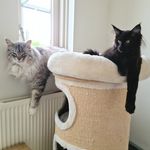 @luke.en.beryl.the.coons - Instagram