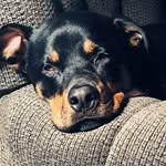Beryl Lynn - @berlynn124 - Instagram