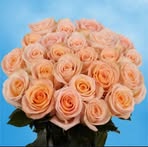 Beryl Lyons - Facebook