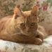 Beryl Macklin - Facebook