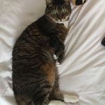 Beryl Manning - @manningberyl - Instagram