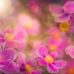 Beryl Marlow - Facebook