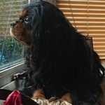 Beryl Mayers - @mayersberyl - Instagram