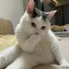 Beryl Mccarthy - @beryl.mccarthy - TikTok