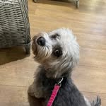 Beryl McCain - @berylmccain - Instagram