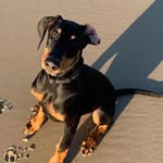 Beryl Miles - @berylmilesartist - Instagram
