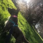 Beryl Milner Hagger - @berylmilnerhagger - Instagram