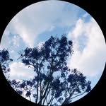 ..𝓶𝓲𝓽𝓽𝔂.. - @the.beryl.moon - Instagram