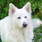 Beryl Murray - @beryl.murray - Instagram