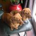 Beryl Nicholson - Facebook