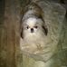 Beryl Olsen - Facebook