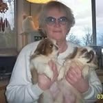 Beryl Olson - @grandmaspekingese_ - Instagram