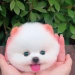 Beryl Berylln - @berylongayo - Instagram
