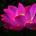 Beryl Ong - Facebook