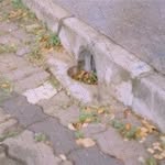 Euna Uhde - @beryloswald466 - Instagram