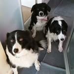 Beryl Page - @bezzaannpage - Instagram