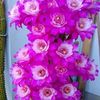 berylparker833beryl - @berylparker833beryl - TikTok