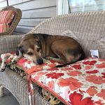 Beryl Paul - @beryl.paul.988 - Instagram