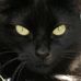 Beryl Petersen - Facebook