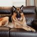 Beryl Phelps - Facebook