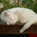 Beryl Phelps - Facebook