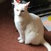 Beryl Piper - Facebook