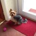 Beryl Platt - Facebook