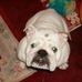 Beryl Pollard - Facebook