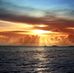 Beryl Pollard - Facebook
