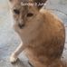 Beryl Pollard - Facebook