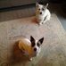 Beryl Potts - Facebook