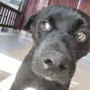 Beryl Ray - @beryl.ray - TikTok