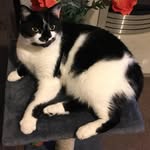 Beryl Price - @beryl.price127 - Instagram