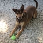 Beryl Richards - @richards.beryl - Instagram