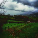 Beryl Roberts - @bryndowsi - Instagram