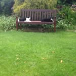 Beryl Roberts - @berylrob47 - Instagram