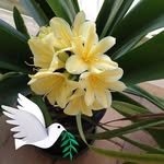 Beryl Robinson - @berylrobinson942 - Instagram